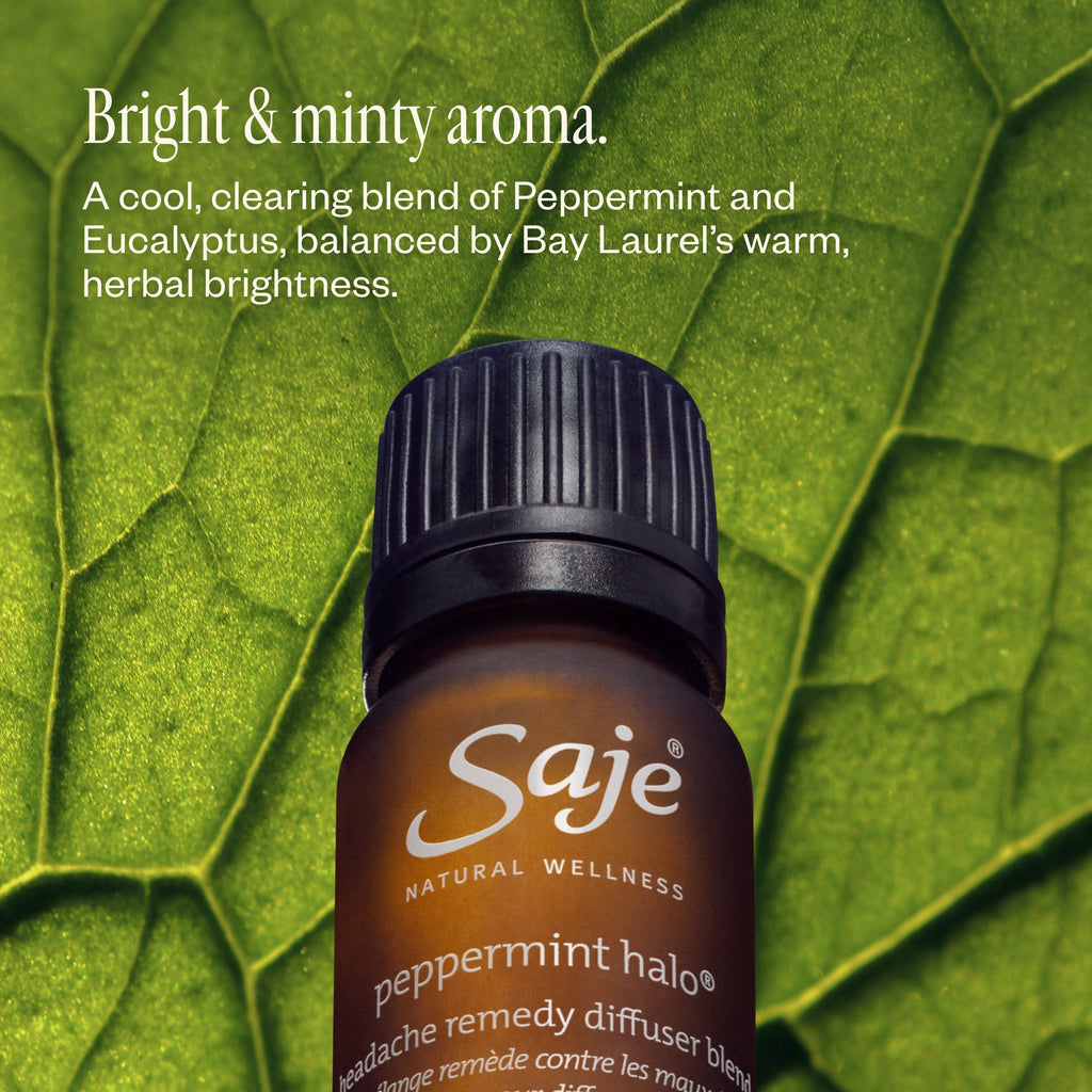 Drive Relaxed