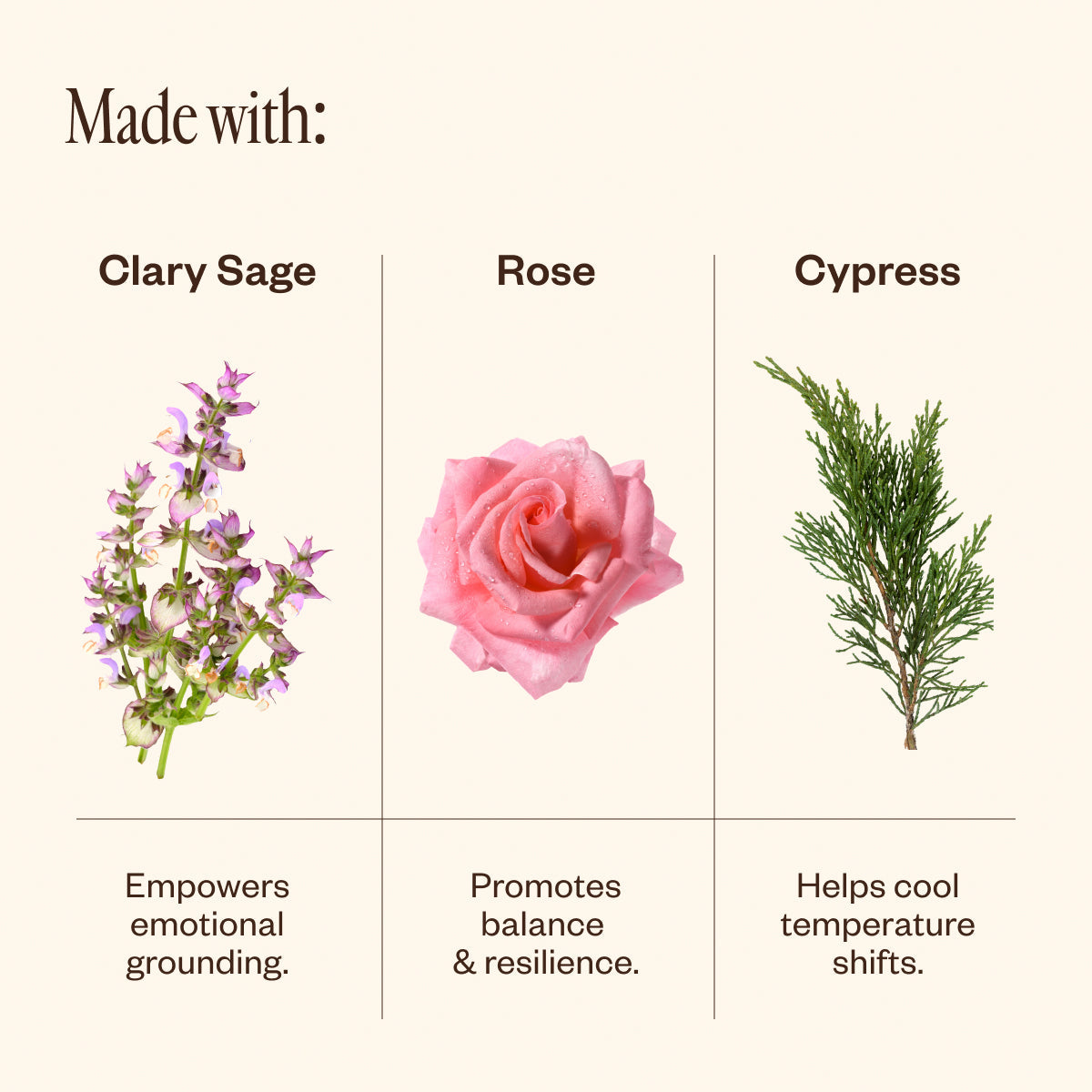 Solace
